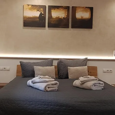 Vogelsang Appartement *